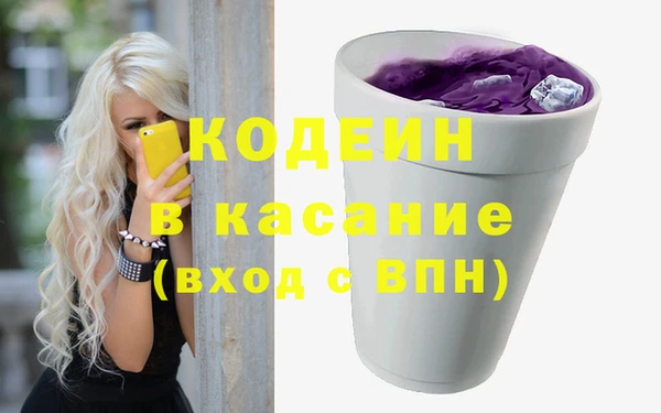 эйфоретик Гусь-Хрустальный