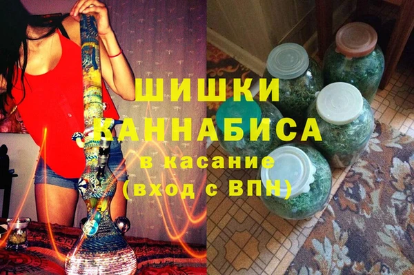 эйфоретик Гусь-Хрустальный