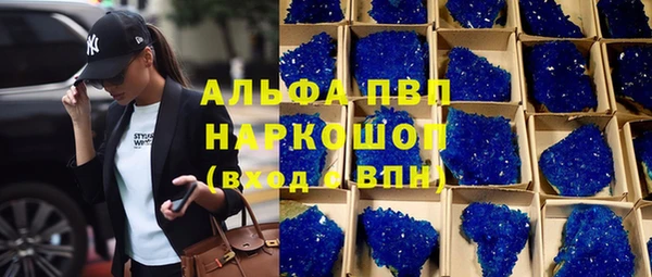 эйфоретик Гусь-Хрустальный