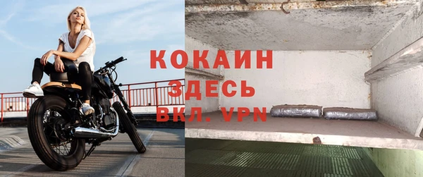 эйфоретик Гусь-Хрустальный