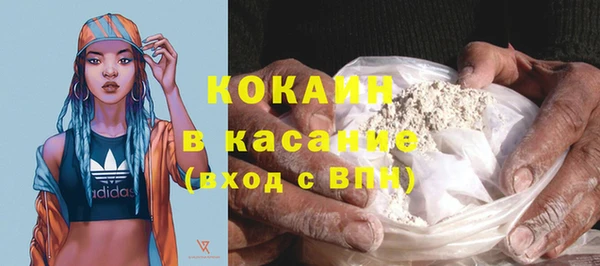 эйфоретик Гусь-Хрустальный