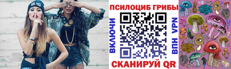 Псилоцибиновые грибы мухоморы  что такое наркотик  Камышин 